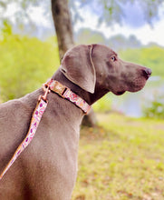 Cargar imagen en el visor de la galería, Set Collar + Correa Ibiza